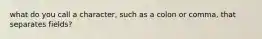 what do you call a character, such as a colon or comma, that separates fields?