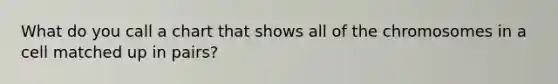 What do you call a chart that shows all of the chromosomes in a cell matched up in pairs?