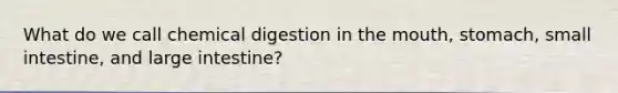 What do we call chemical digestion in the mouth, stomach, small intestine, and large intestine?