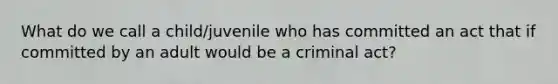 What do we call a child/juvenile who has committed an act that if committed by an adult would be a criminal act?