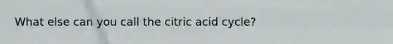 What else can you call the citric acid cycle?