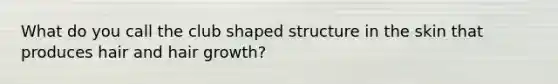 What do you call the club shaped structure in the skin that produces hair and hair growth?