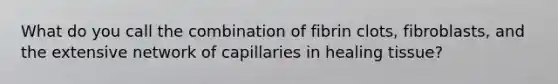 What do you call the combination of fibrin clots, fibroblasts, and the extensive network of capillaries in healing tissue?