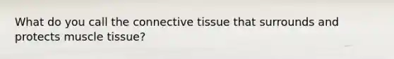 What do you call the <a href='https://www.questionai.com/knowledge/kYDr0DHyc8-connective-tissue' class='anchor-knowledge'>connective tissue</a> that surrounds and protects <a href='https://www.questionai.com/knowledge/kMDq0yZc0j-muscle-tissue' class='anchor-knowledge'>muscle tissue</a>?