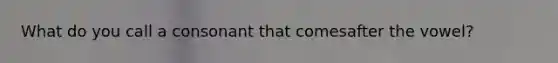 What do you call a consonant that comesafter the vowel?