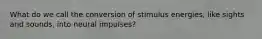 What do we call the conversion of stimulus energies, like sights and sounds, into neural impulses?