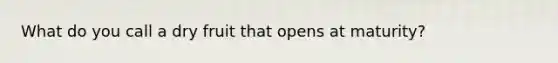 What do you call a dry fruit that opens at maturity?