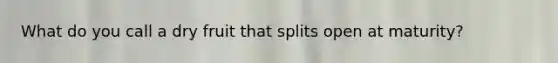 What do you call a dry fruit that splits open at maturity?