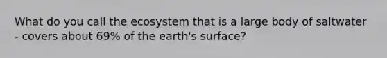 What do you call the ecosystem that is a large body of saltwater - covers about 69% of the earth's surface?