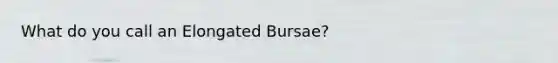 What do you call an Elongated Bursae?