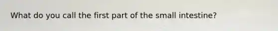 What do you call the first part of the small intestine?