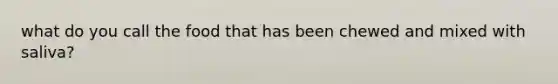what do you call the food that has been chewed and mixed with saliva?