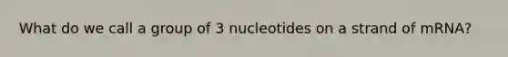 What do we call a group of 3 nucleotides on a strand of mRNA?