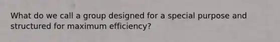 What do we call a group designed for a special purpose and structured for maximum efficiency?