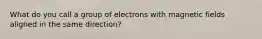 What do you call a group of electrons with magnetic fields aligned in the same direction?