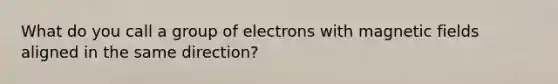 What do you call a group of electrons with <a href='https://www.questionai.com/knowledge/kqorUT4tK2-magnetic-fields' class='anchor-knowledge'>magnetic fields</a> aligned in the same direction?