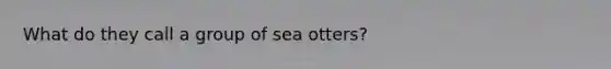 What do they call a group of sea otters?