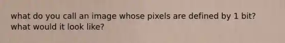 what do you call an image whose pixels are defined by 1 bit? what would it look like?