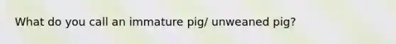 What do you call an immature pig/ unweaned pig?