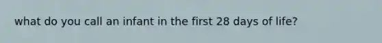 what do you call an infant in the first 28 days of life?