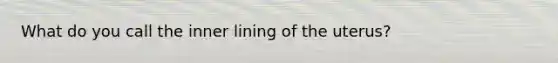 What do you call the inner lining of the uterus?