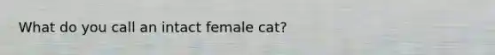 What do you call an intact female cat?