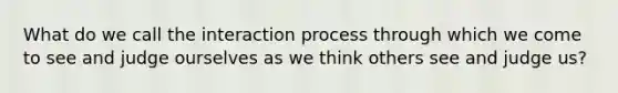 What do we call the interaction process through which we come to see and judge ourselves as we think others see and judge us?