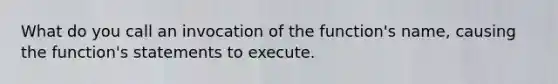 What do you call an invocation of the function's name, causing the function's statements to execute.