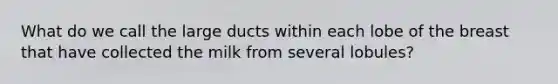 What do we call the large ducts within each lobe of the breast that have collected the milk from several lobules?