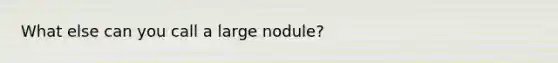 What else can you call a large nodule?