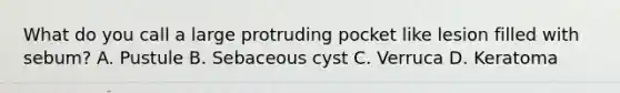 What do you call a large protruding pocket like lesion filled with sebum? A. Pustule B. Sebaceous cyst C. Verruca D. Keratoma