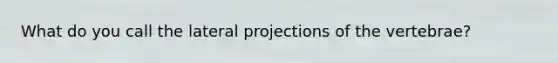 What do you call the lateral projections of the vertebrae?