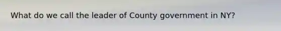 What do we call the leader of County government in NY?