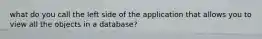 what do you call the left side of the application that allows you to view all the objects in a database?