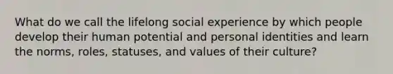 What do we call the lifelong social experience by which people develop their human potential and personal identities and learn the norms, roles, statuses, and values of their culture?