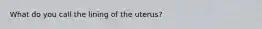 What do you call the lining of the uterus?