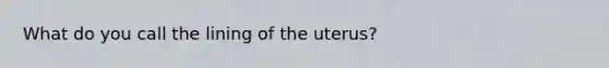 What do you call the lining of the uterus?