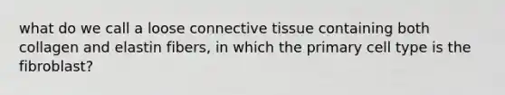 what do we call a loose connective tissue containing both collagen and elastin fibers, in which the primary cell type is the fibroblast?