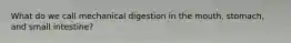 What do we call mechanical digestion in the mouth, stomach, and small intestine?