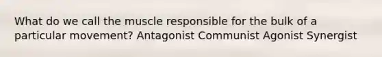 What do we call the muscle responsible for the bulk of a particular movement? Antagonist Communist Agonist Synergist