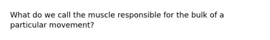 What do we call the muscle responsible for the bulk of a particular movement?