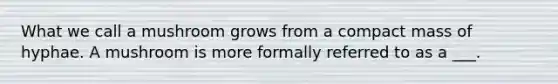 What we call a mushroom grows from a compact mass of hyphae. A mushroom is more formally referred to as a ___.