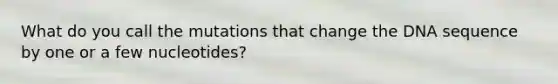 What do you call the mutations that change the DNA sequence by one or a few nucleotides?