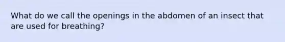 What do we call the openings in the abdomen of an insect that are used for breathing?