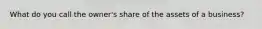 What do you call the owner's share of the assets of a business?