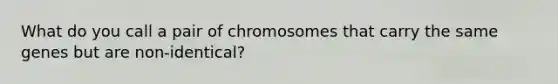 What do you call a pair of chromosomes that carry the same genes but are non-identical?