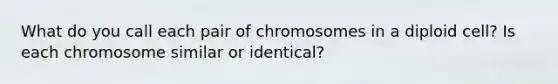 What do you call each pair of chromosomes in a diploid cell? Is each chromosome similar or identical?