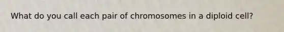 What do you call each pair of chromosomes in a diploid cell?