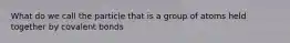 What do we call the particle that is a group of atoms held together by covalent bonds