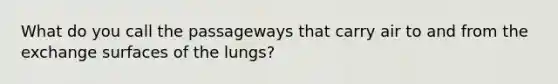 What do you call the passageways that carry air to and from the exchange surfaces of the lungs?